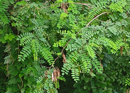 沈陽崗位外包和沈陽勞務外包的區(qū)別