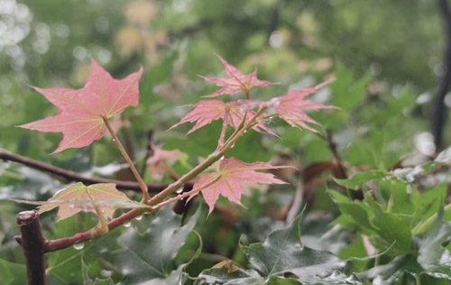 在職場(chǎng)上，長(zhǎng)得好看，真的能當(dāng)飯吃嗎？為你揭秘拉開(kāi)職場(chǎng)差距的真正原因?。?！