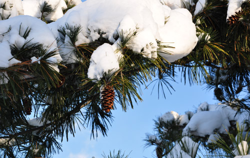 2022版：工傷認(rèn)定流程及賠償標(biāo)準(zhǔn)（1-10級、工亡）