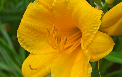 遼寧省機關(guān)事業(yè)單位為什么招聘這么多勞務派遣人員？