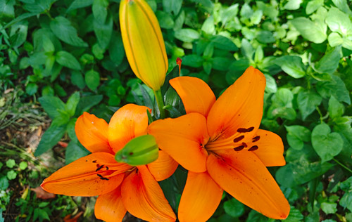 簽訂了無固定期限勞動合同卻被辭退，怎么辦？沈陽人事代理來幫忙