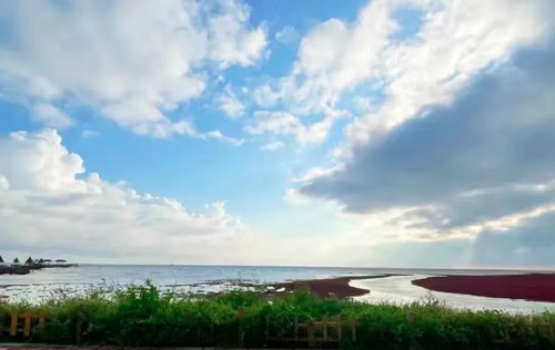 沈陽勞務派遣公司是如何維護人力資源個體的合法權益？