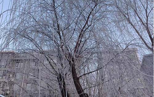 沈陽(yáng)勞務(wù)工傷外包服務(wù)的多樣選擇