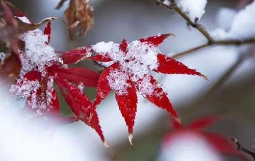 沈陽工傷風(fēng)險(xiǎn)外包對于企業(yè)來說有哪些優(yōu)勢？