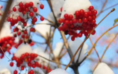 沈陽勞務派遣能為企事業(yè)單位帶來益處多多！